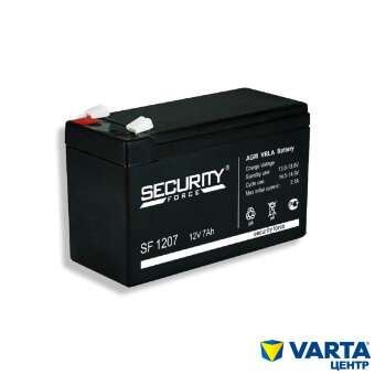 Аккумулятор. SF 1207 Security Force